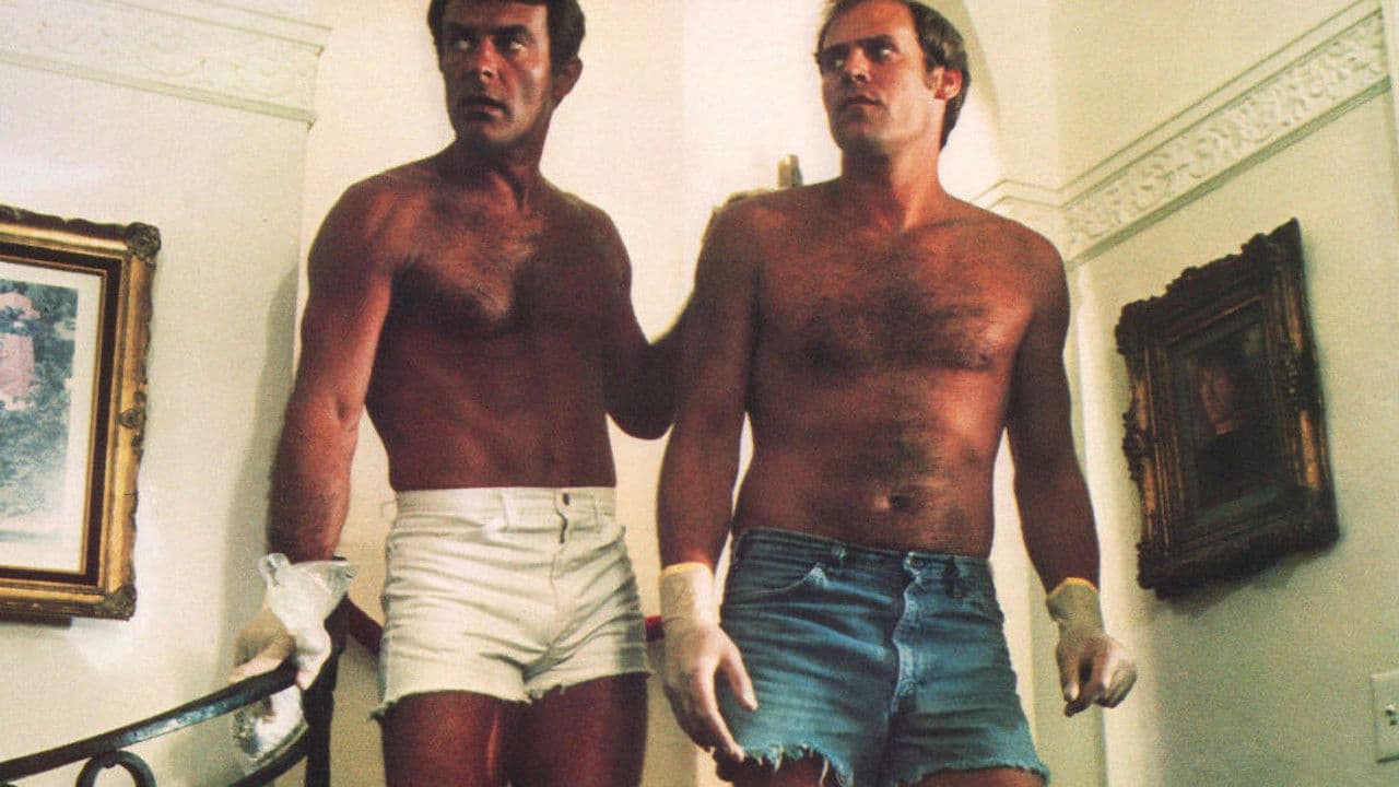 Murph the Surfの背景画像