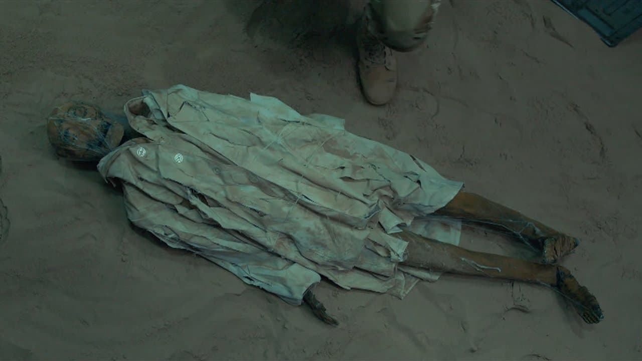 巨蛛の背景画像