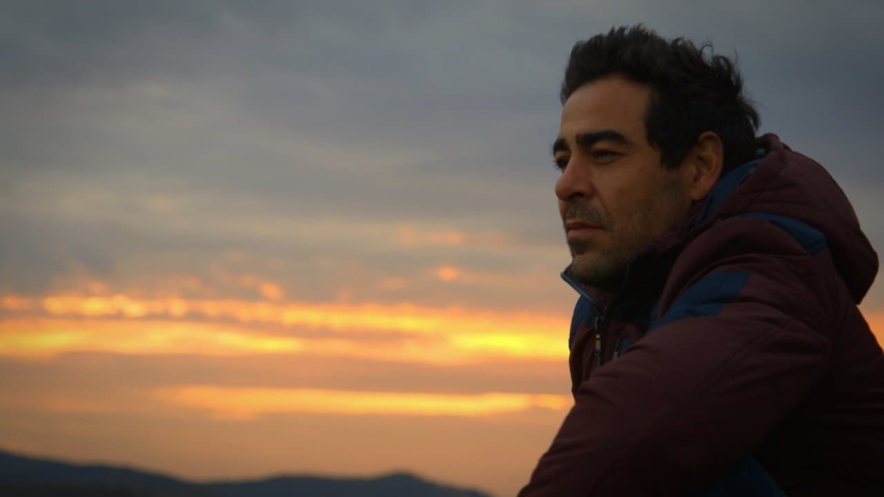 El paisanoの背景画像