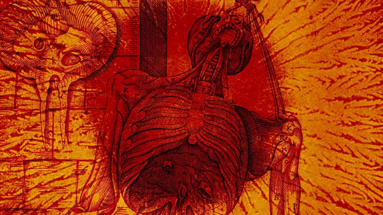 Gut Instinctの背景画像