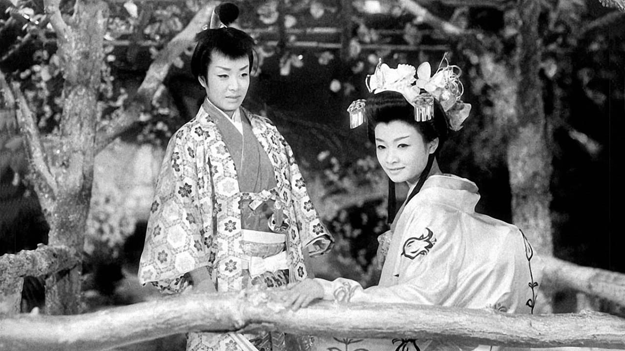 大当り狸御殿の背景画像