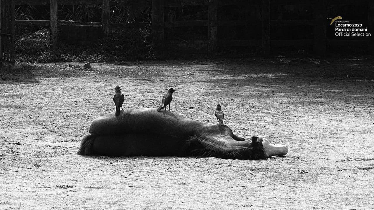 একটি একঘেয়ে ফিল্মの背景画像