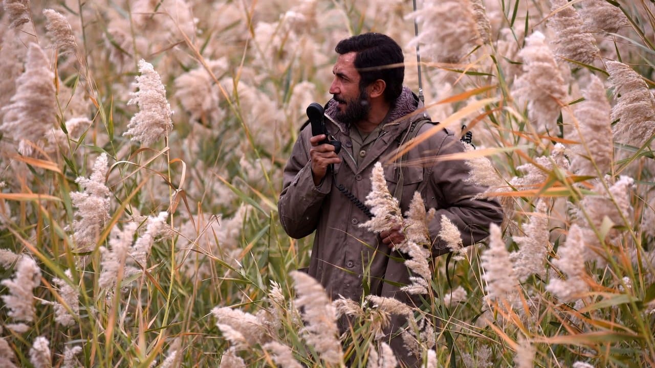 موقعیت مهدیの背景画像