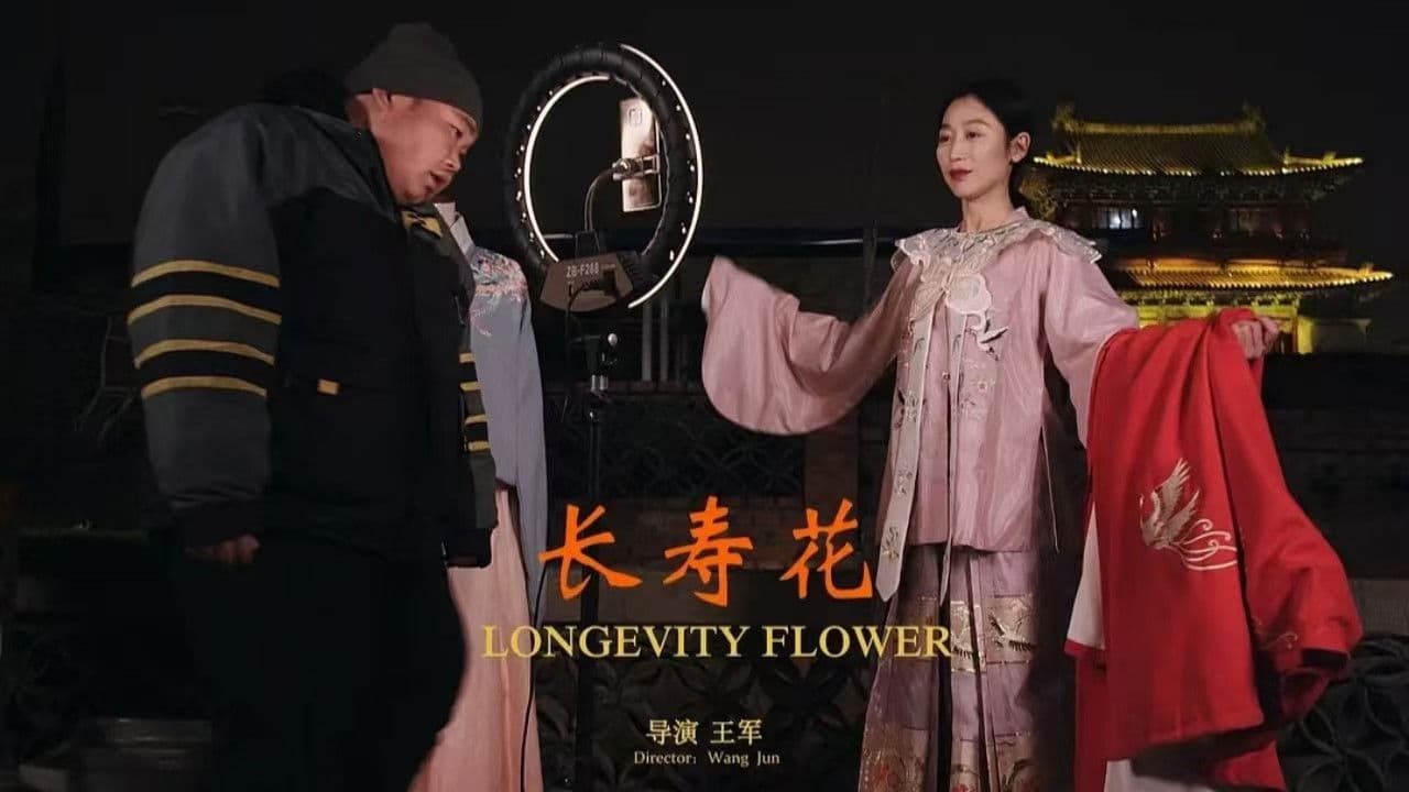 长寿花の背景画像