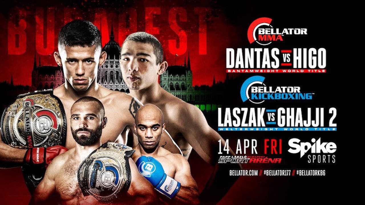 Bellator 177: Dantas vs Higoの背景画像