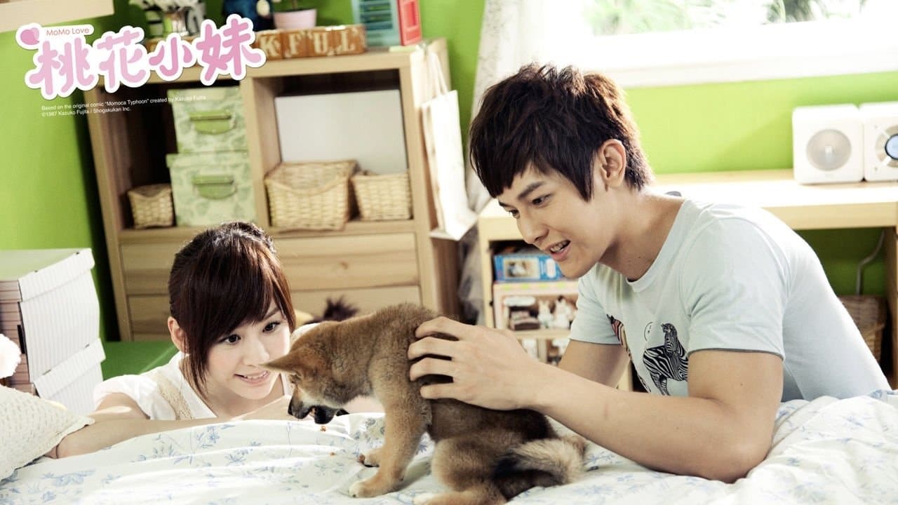 桃花小妹の背景画像