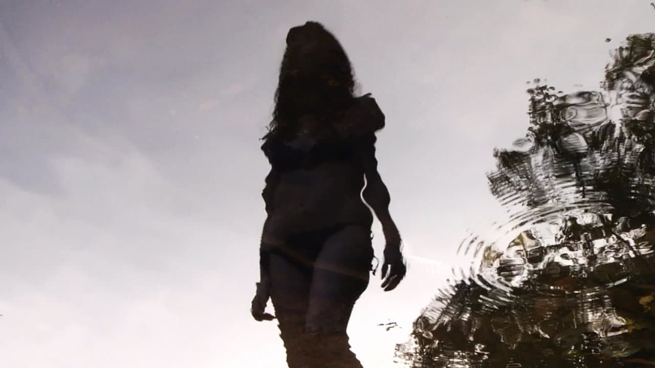 Toad Roadの背景画像