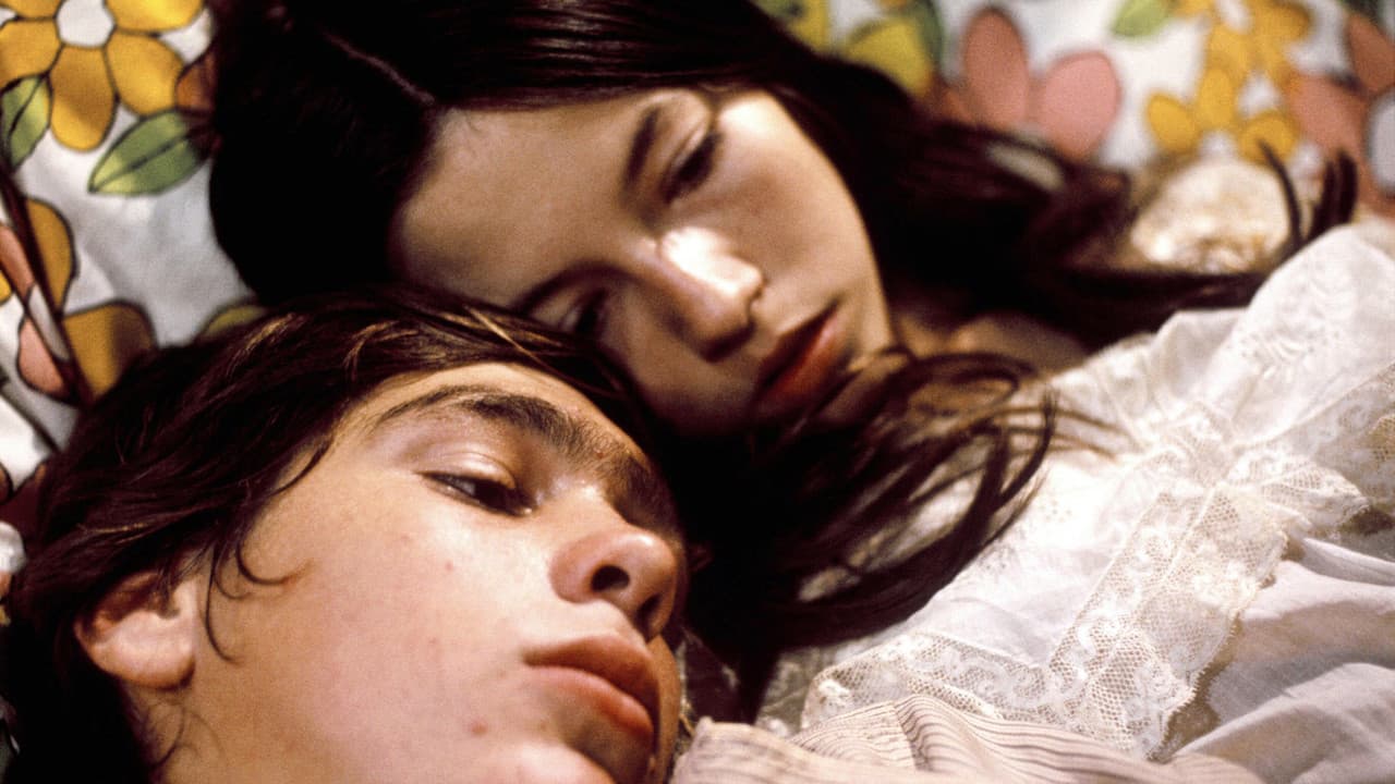 Dusty and Sweets McGeeの背景画像