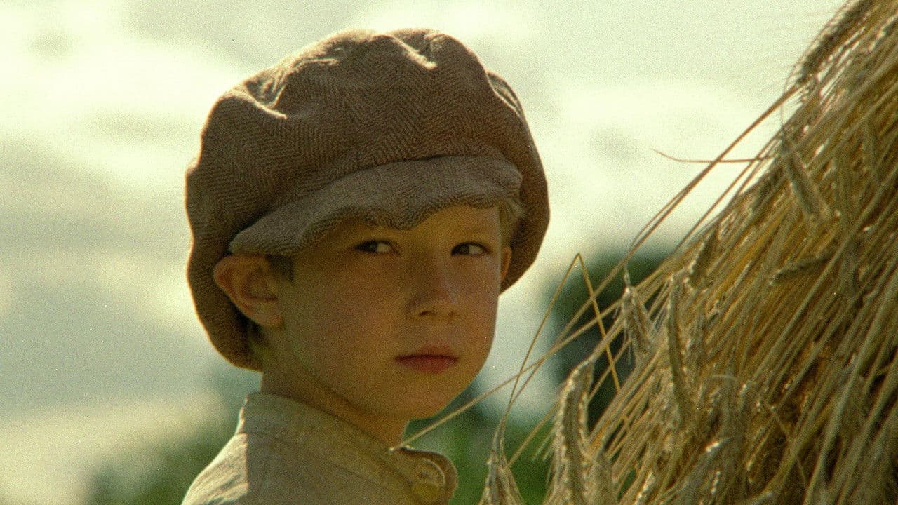 Vella kalpi Vella dzirnavāsの背景画像