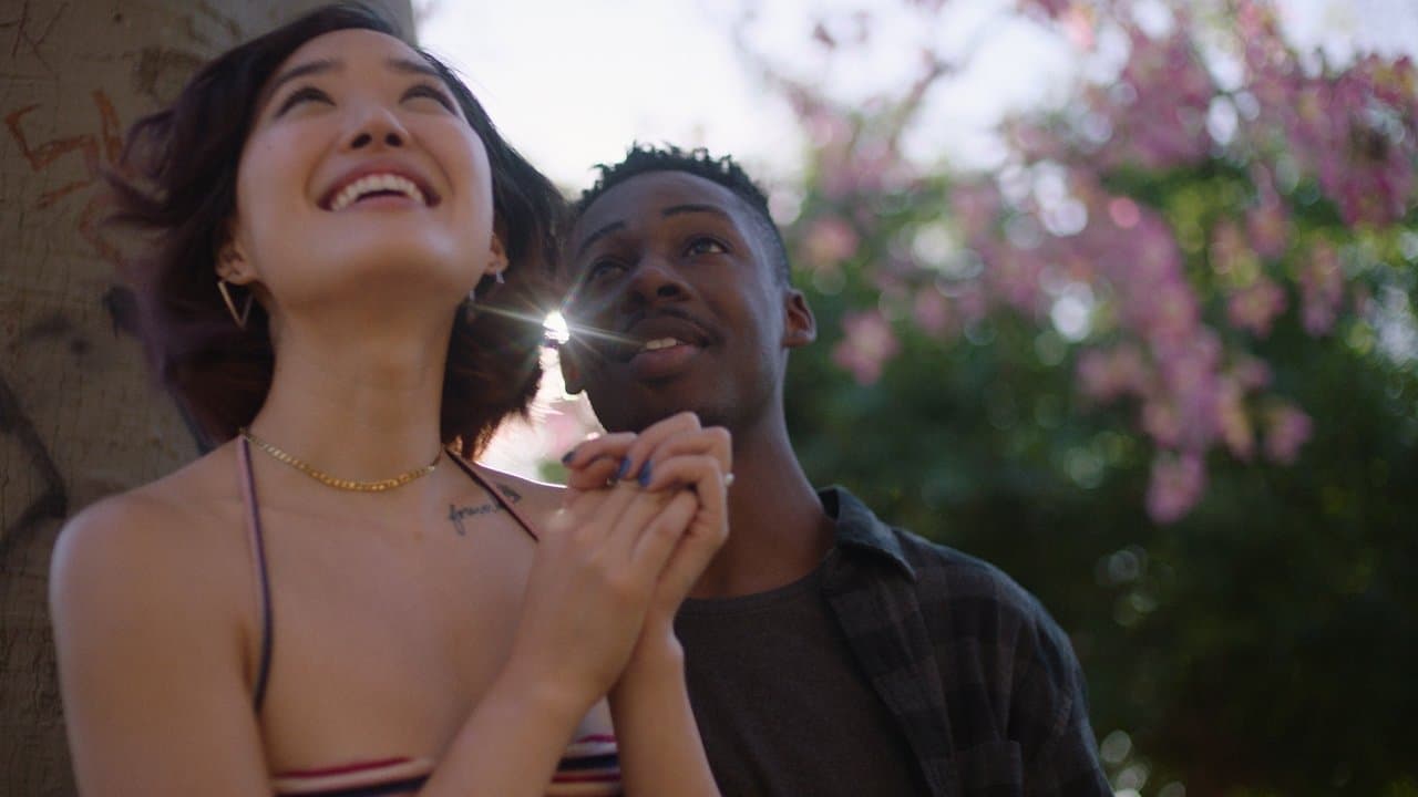 Pink Opaqueの背景画像