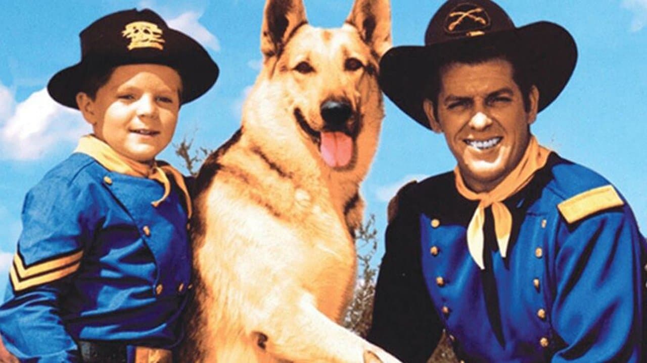 The Adventures of Rin Tin Tinの背景画像