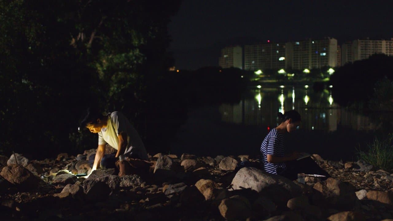 별과 모래の背景画像