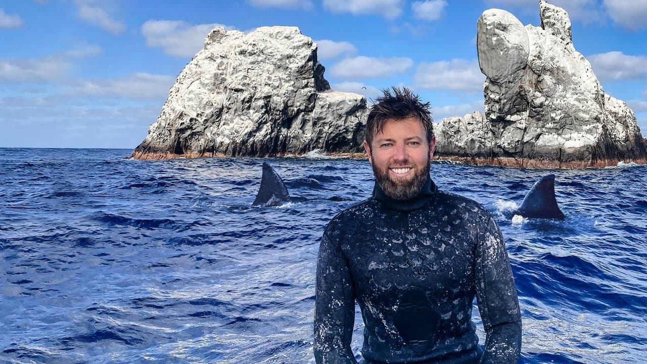 Mystery of the Black Demon Sharkの背景画像