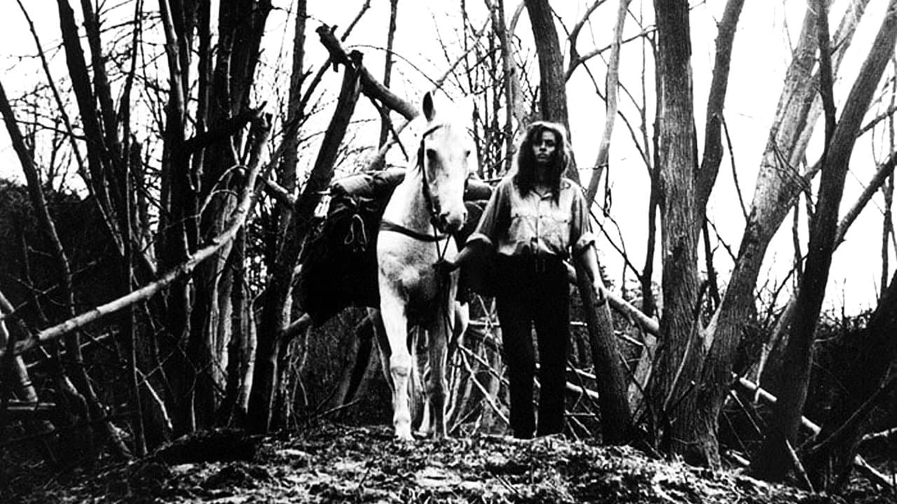 Konec srpna v Hotelu Ozonの背景画像