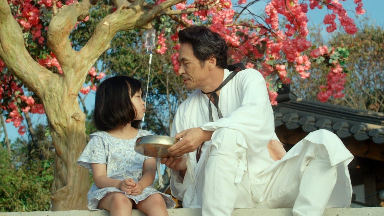 매미소리の背景画像