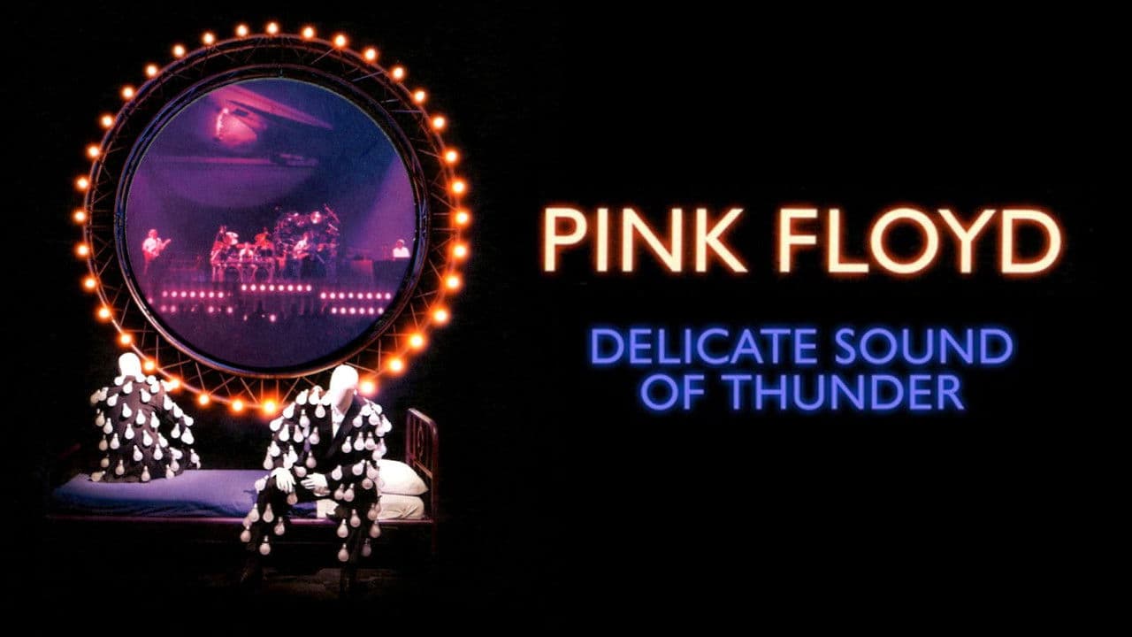 Pink Floyd: The Later Years, Vol 2 - Delicate Sound of Thunderの背景画像