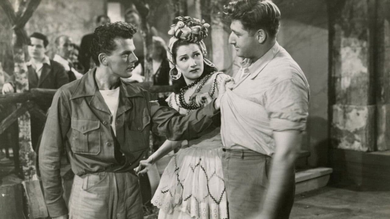 Sarumbaの背景画像