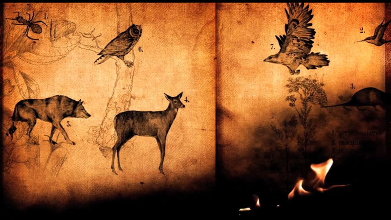 Jónsi: Go Liveの背景画像