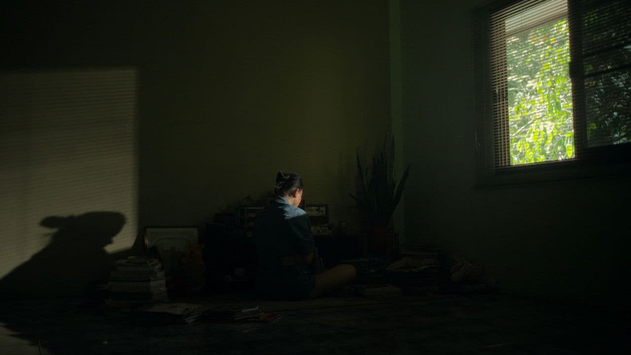 Mycelium Memoryの背景画像