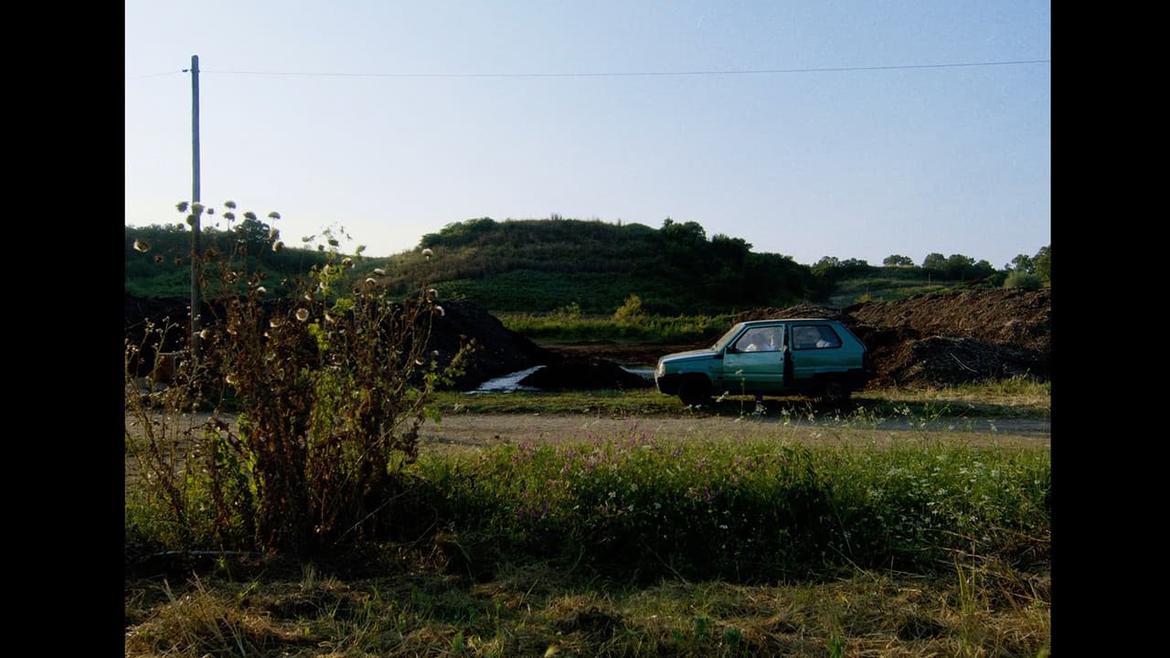 Il Panda Minoreの背景画像