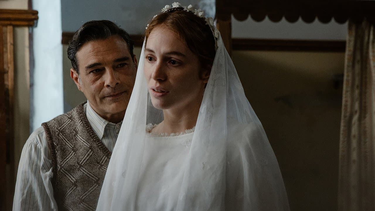 Il mio posto è quiの背景画像