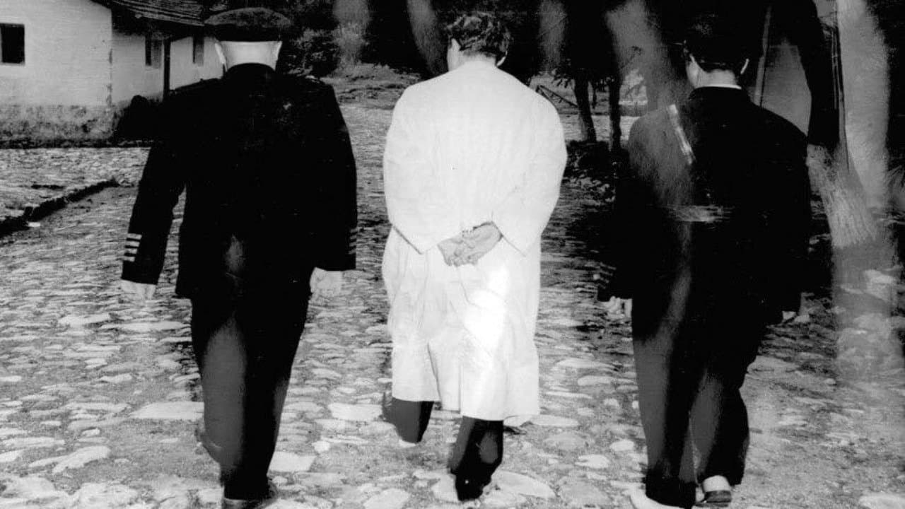 Demirkırat: İdamの背景画像