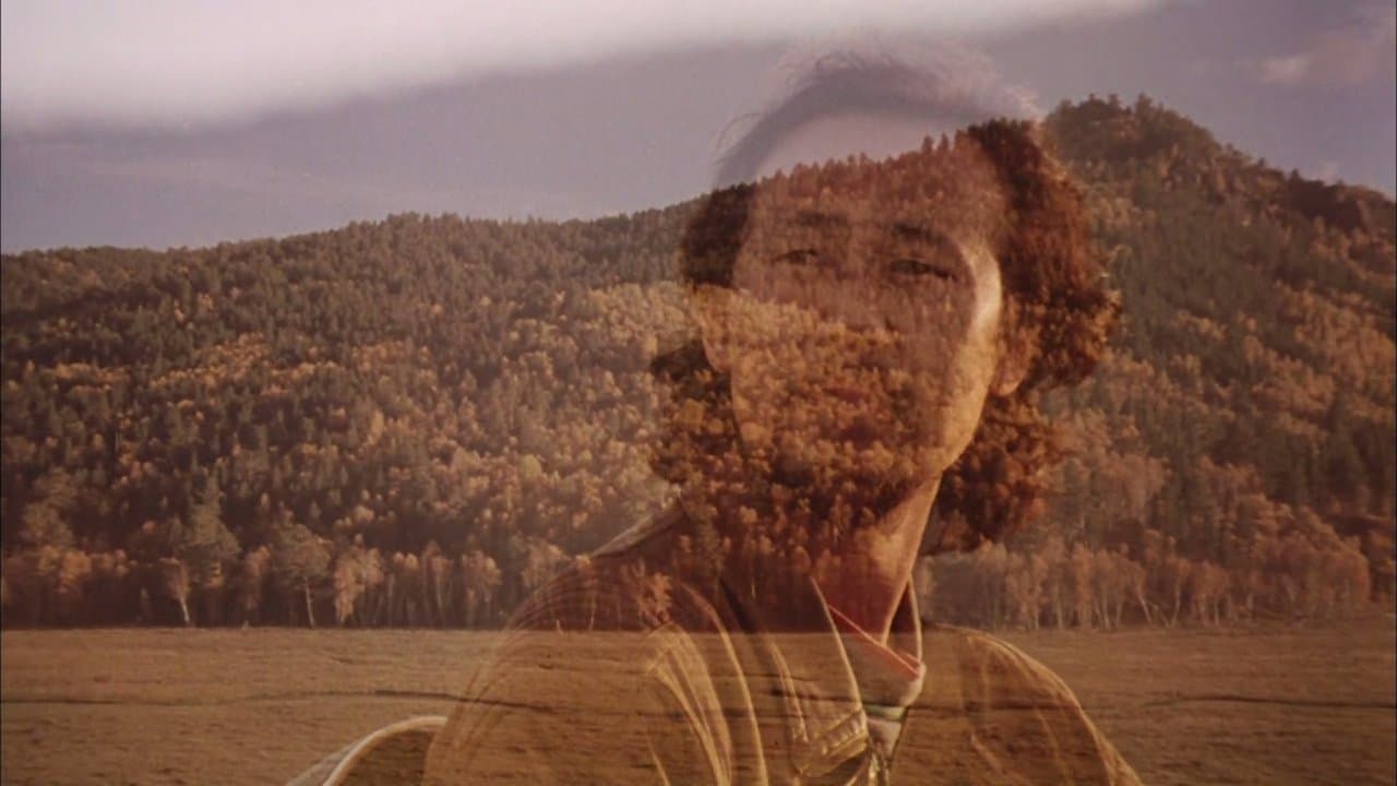 黑骏马の背景画像