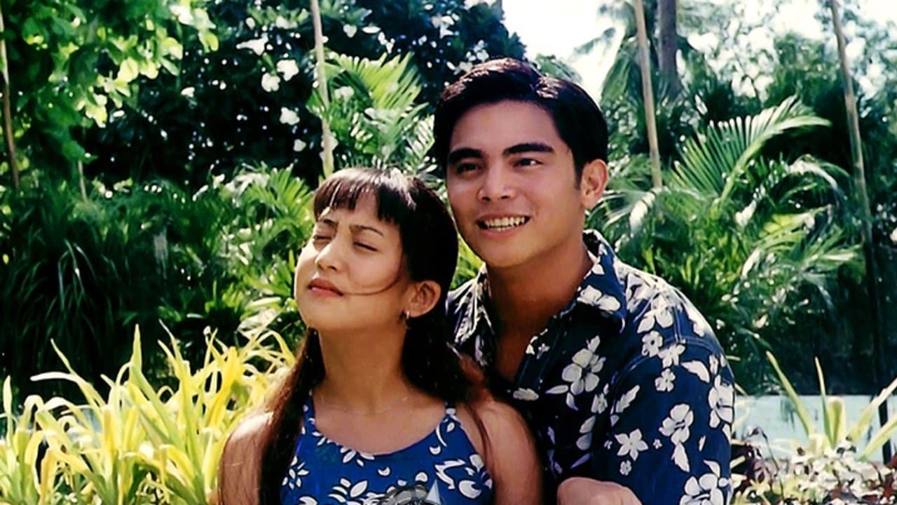 Hey Babe!の背景画像