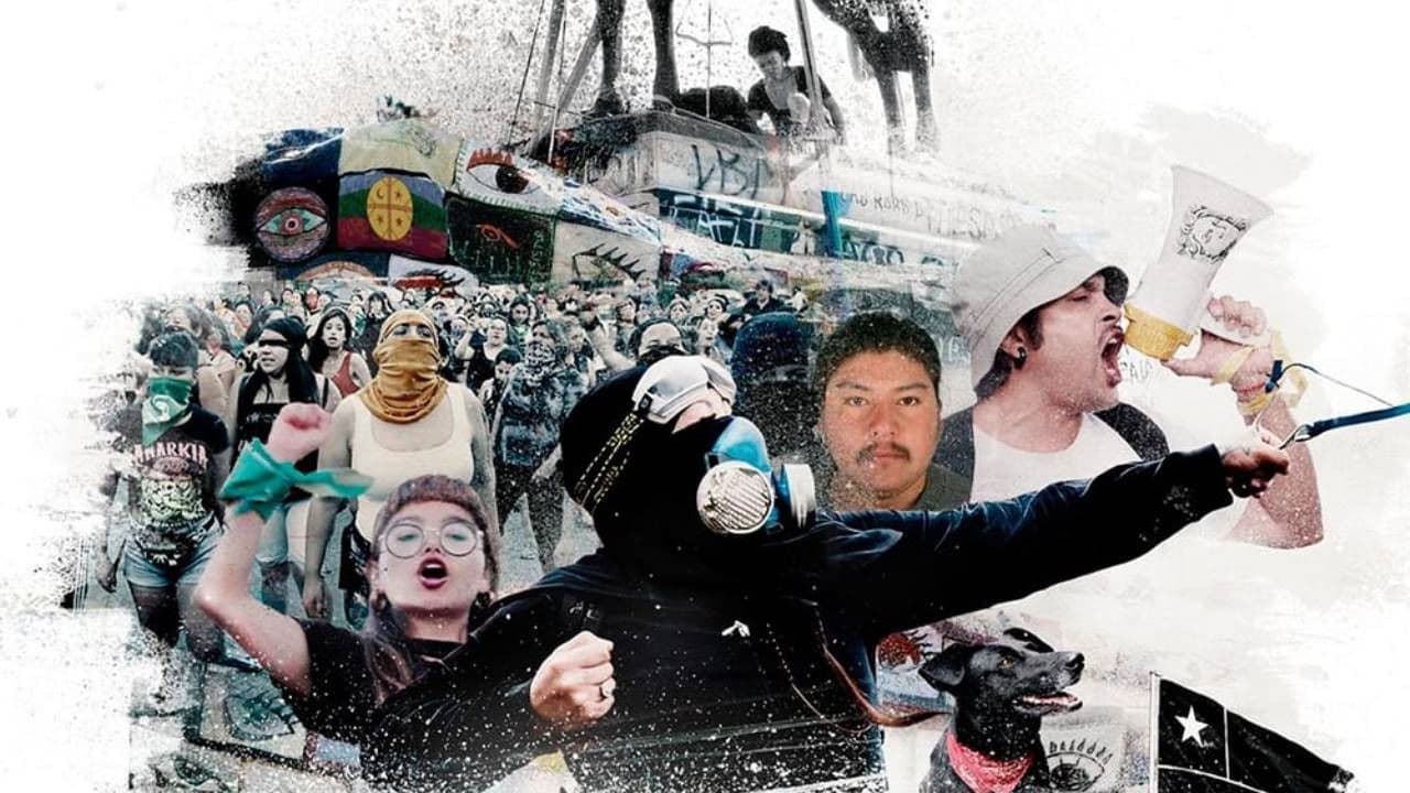 Primeraの背景画像