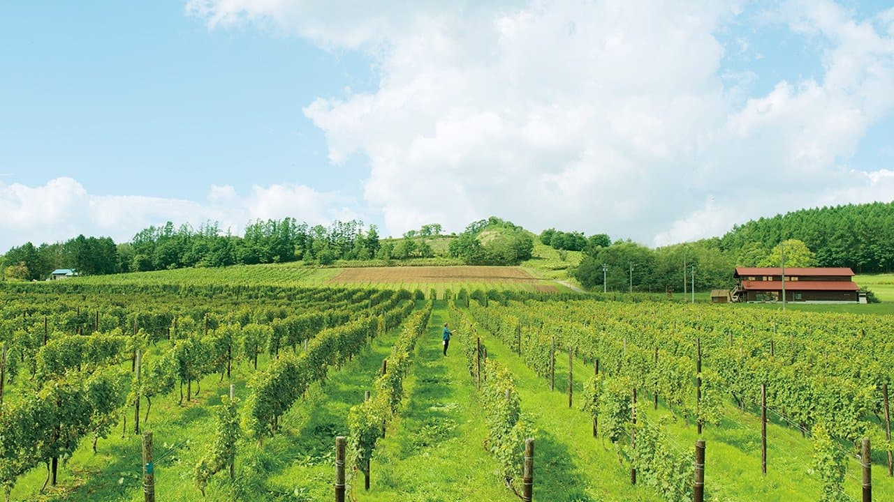 ぶどうのなみだの背景画像