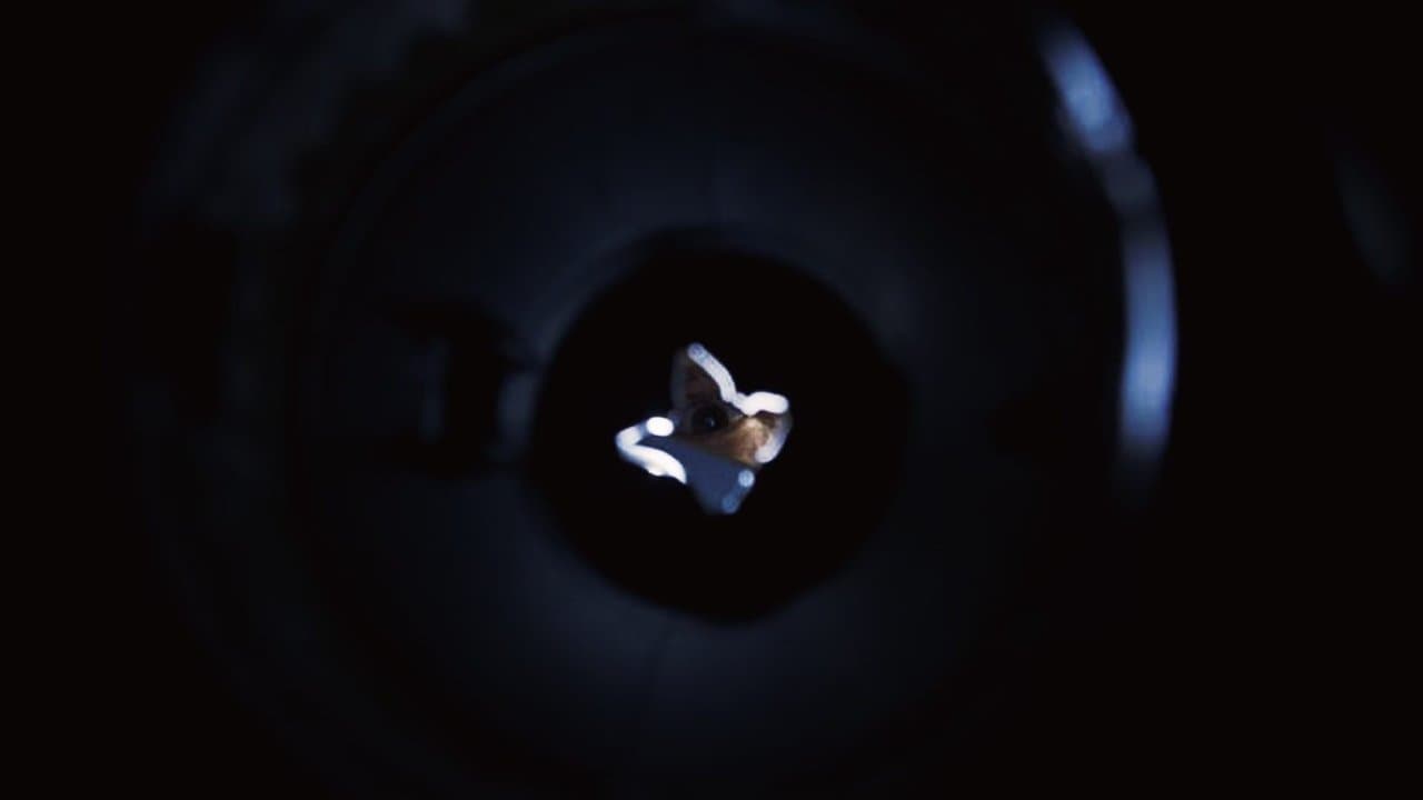 Disposalの背景画像