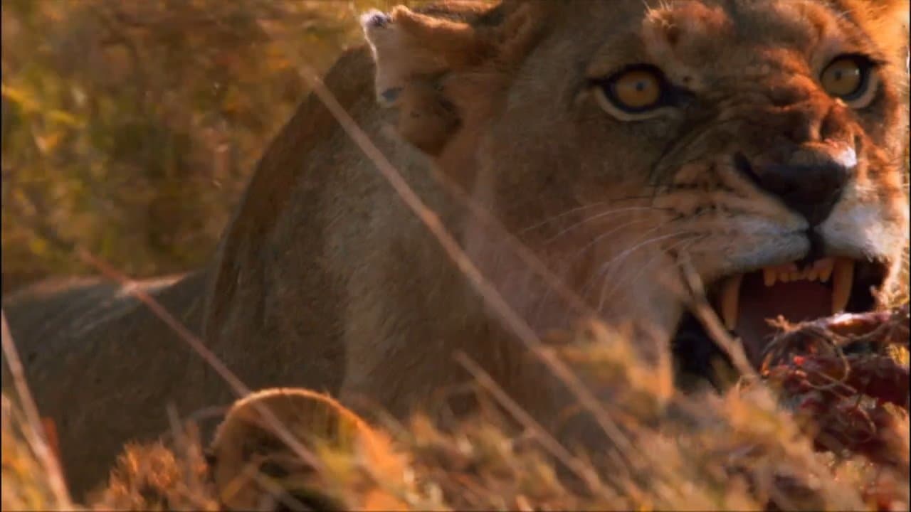 Superprideの背景画像