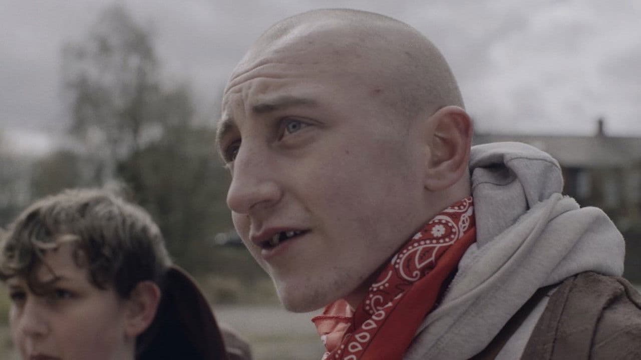 Dog Factoryの背景画像