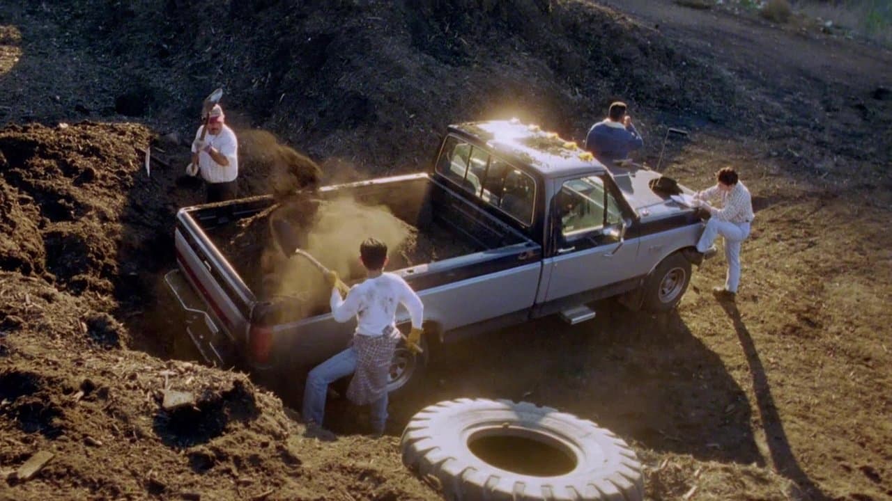 Amexicoの背景画像