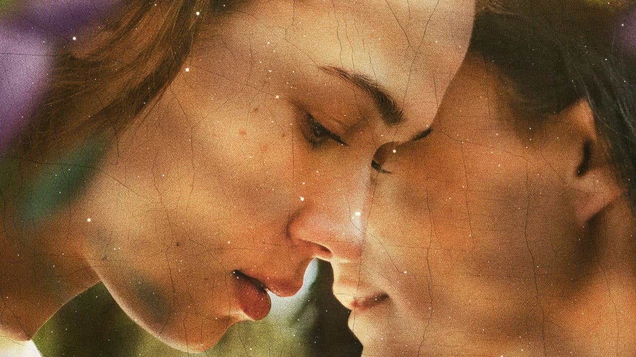 Into the Thicketの背景画像