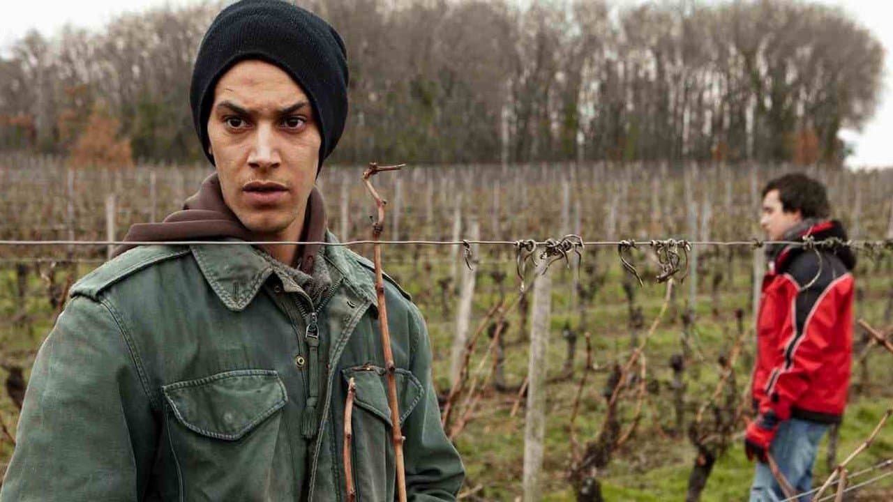 Amsterdamの背景画像