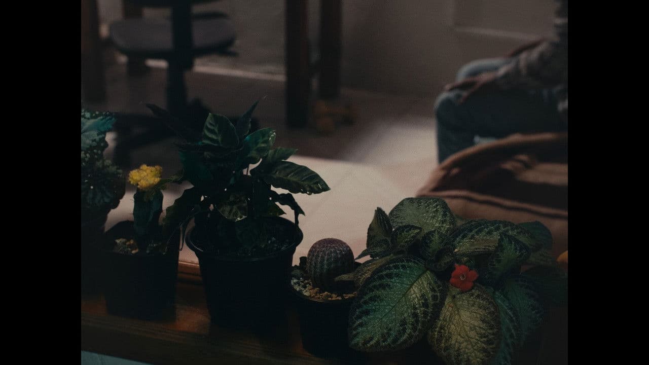 Superficie o Perder el Tiempo en los Espacios Más Relucientesの背景画像