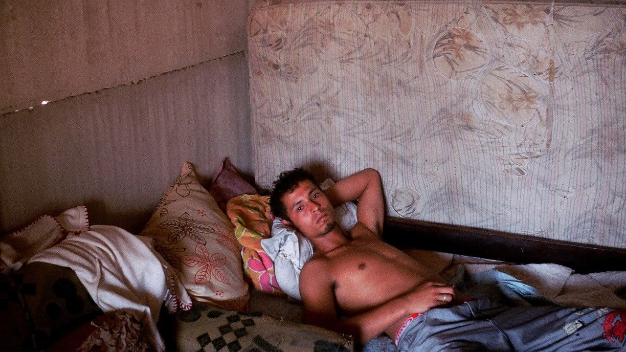 A Vizinhança do Tigreの背景画像