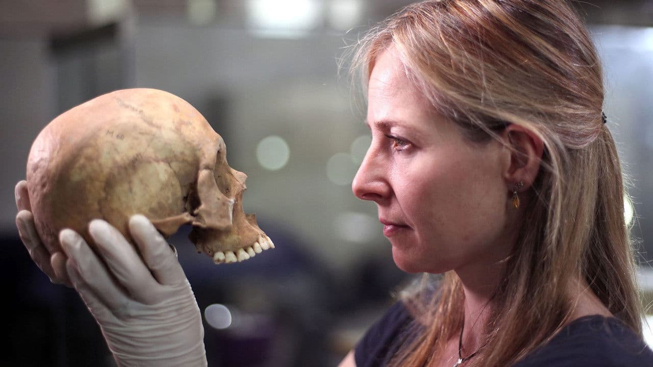 The Greatest Tomb on Earth: Secrets of Ancient Chinaの背景画像