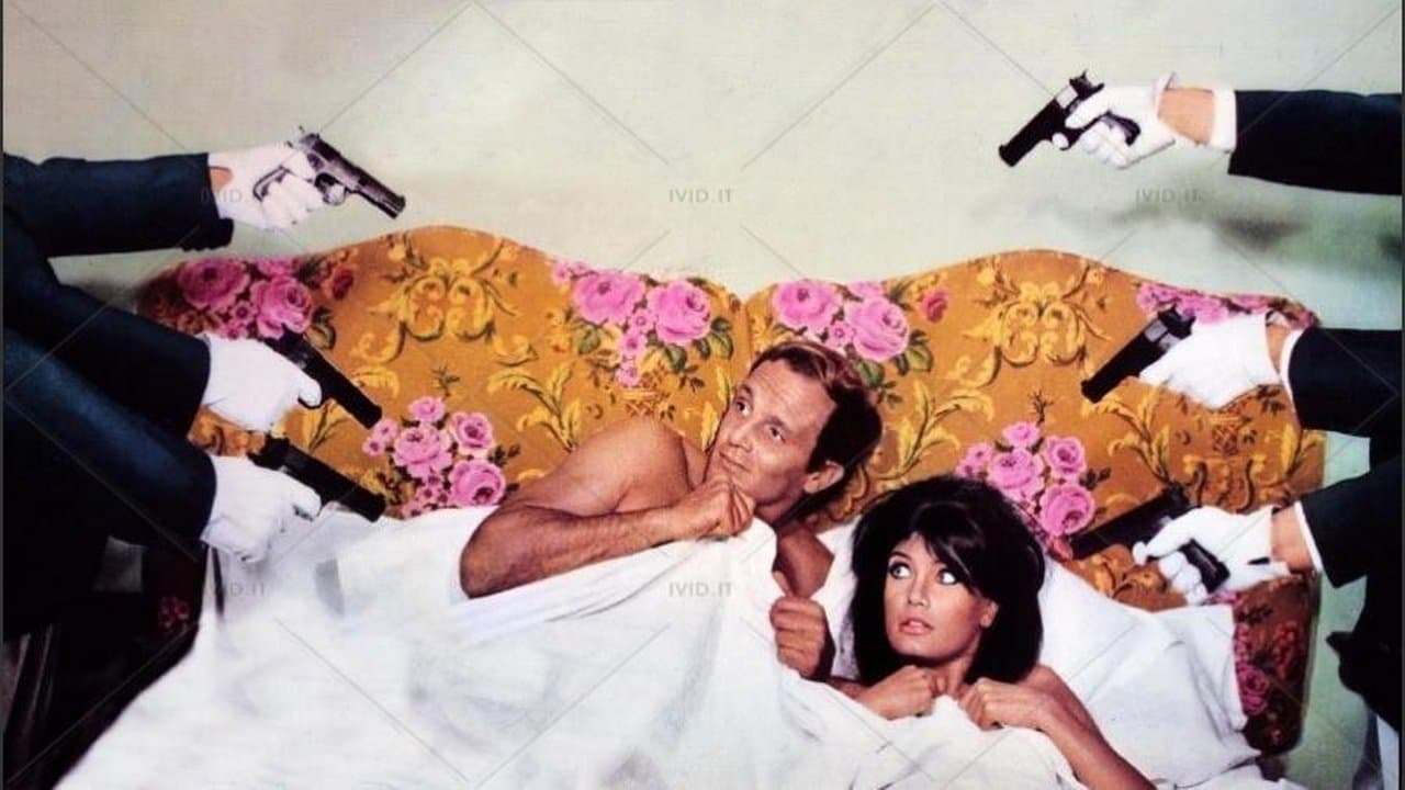 Che notte, ragazzi!の背景画像