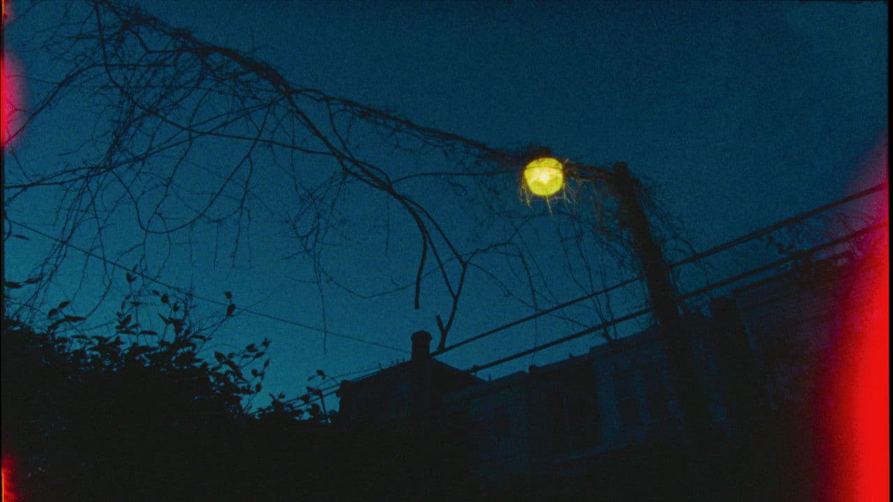 Squatterの背景画像