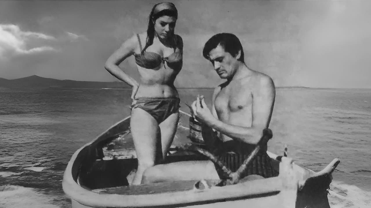 Çöpçatanlar Kampıの背景画像