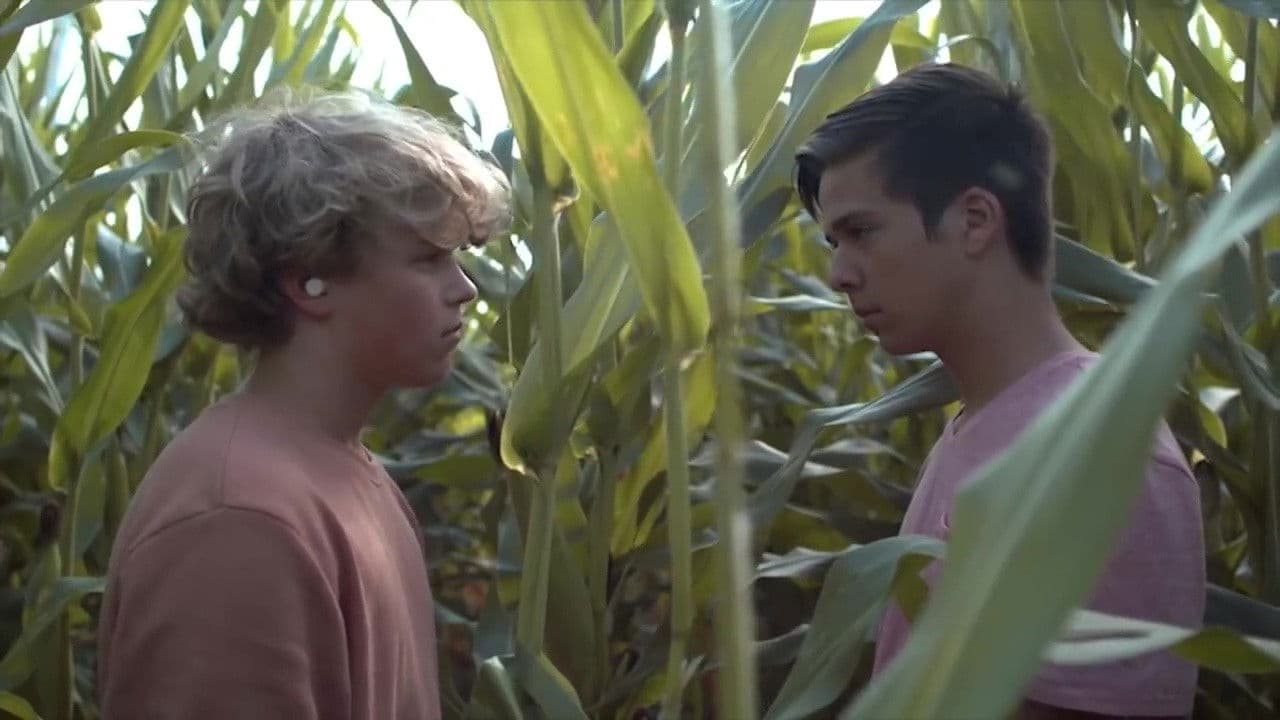 Desire: The Short Films of Ohmの背景画像