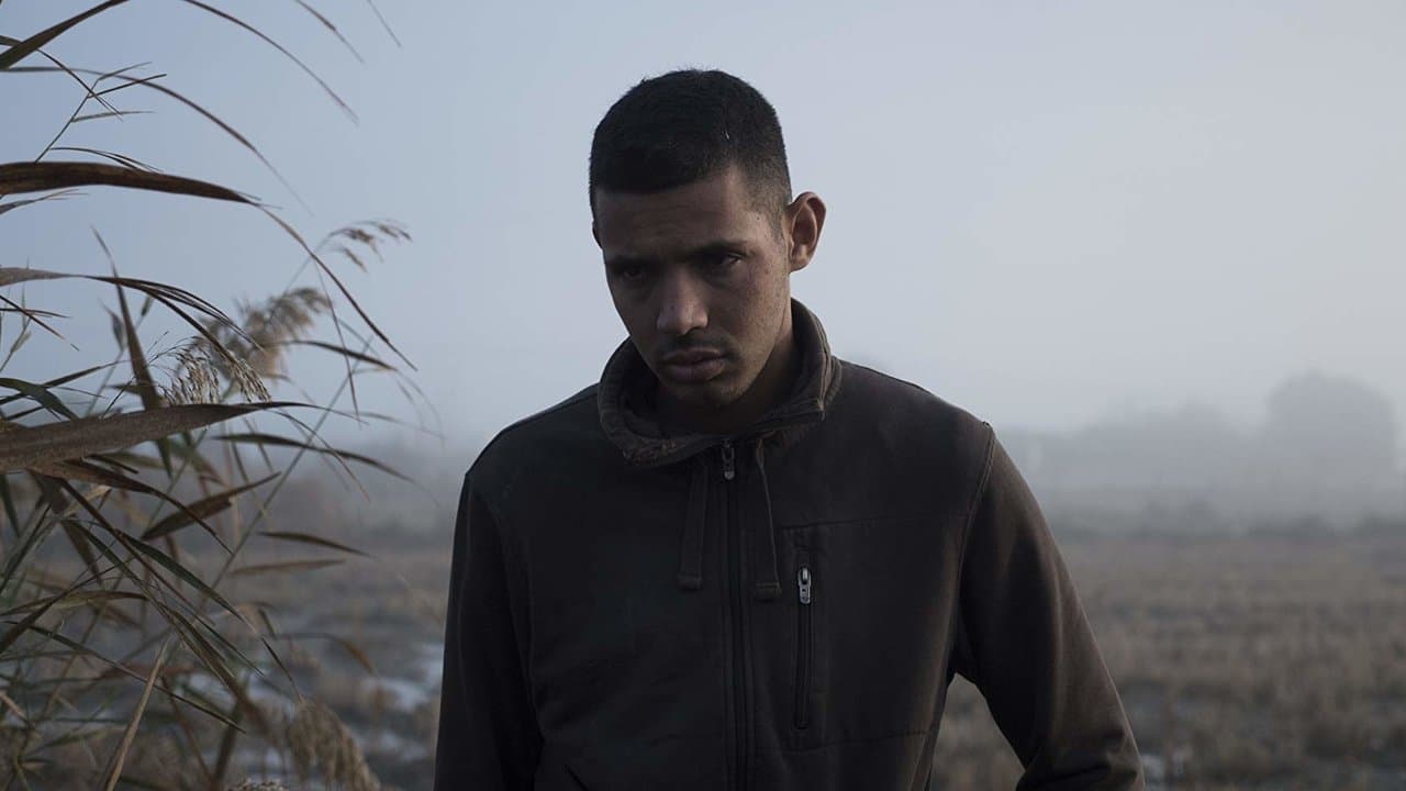 La millor opcióの背景画像