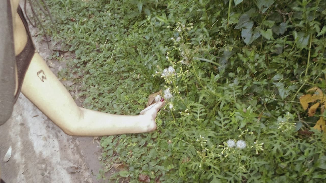 o céu diante dos meus olhos nunca é cinzaの背景画像