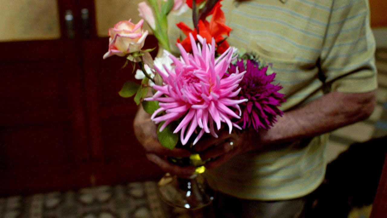 Petit Matinの背景画像