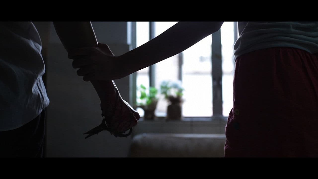 野犬與貓咪の背景画像