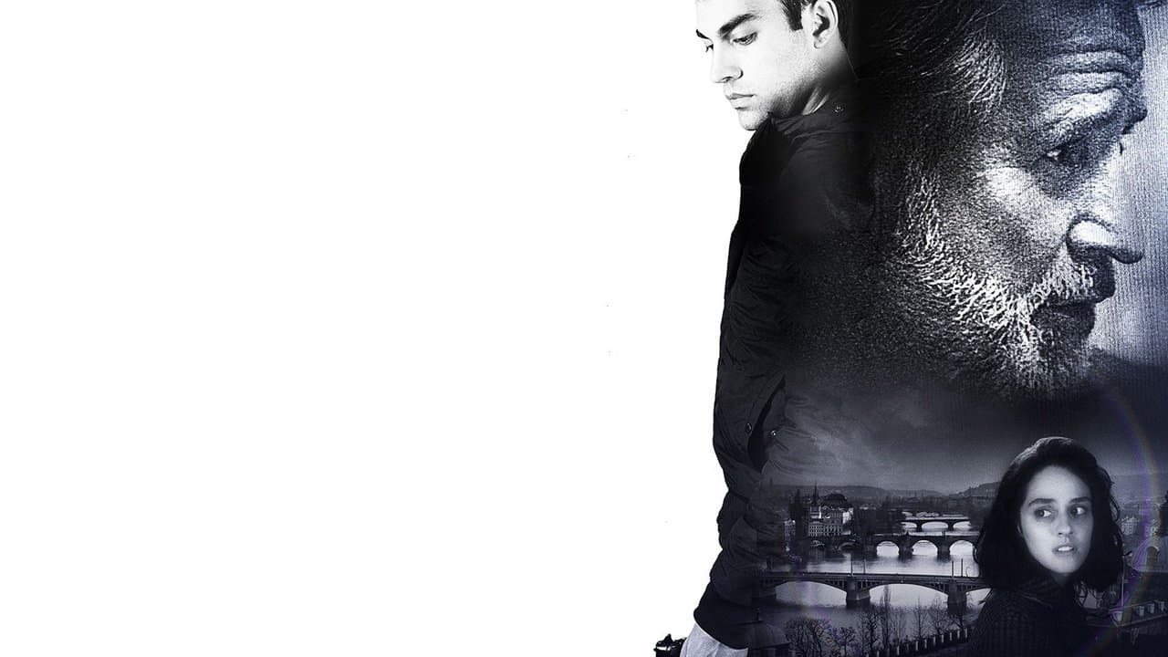 Newcomerの背景画像