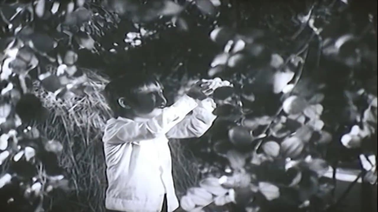 Khi vắng bàの背景画像