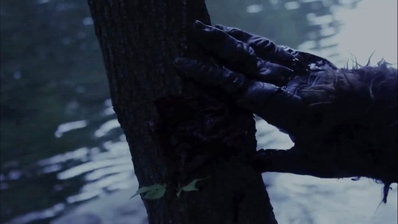 Black Water Creekの背景画像